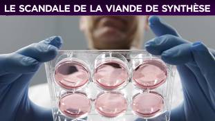 Perles de Culture n°202 : le scandale de la viande de synthèse