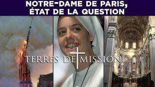 Terres de Mission n°132 : Notre-Dame de Paris, état de la question