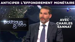 Politique & Eco N° 225 : Anticiper l'effondrement monétaire avec Charles Sannat