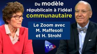 Zoom - M. Maffesoli et H. Strohl : Du modèle républicain à l'idéal communautaire