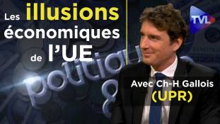 Politique & Eco n° 239 : Les illusions économiques de l’Union Européenne