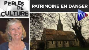 Perles de Culture n°232 : Patrimoine en danger