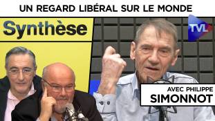 Synthèse avec Philippe Simonnot : Un regard libéral sur le monde