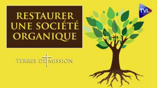 Terres de Mission n°161 : Restaurer une société organique