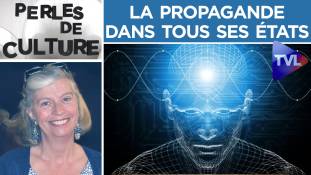 Perles de Culture n°246 : La propagande dans tous ses états