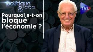 Politique & Eco n°257 avec Charles Gave : Pourquoi a-t-on bloqué l'économie ?