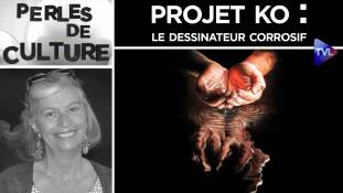 Perles de Culture n°259 - Projet KO : le dessinateur corrosif