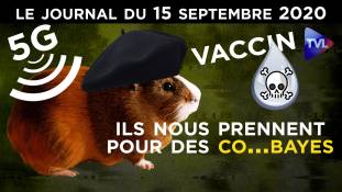 La 5G profite du Covid-19 - JT du mardi 15 septembre 2020