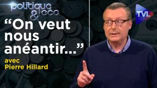 Politique & Eco n°271 avec Pierre Hillard - Covid-19 : l'étincelle avant le Grand Reset ?