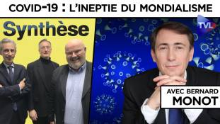 Synthèse avec Bernard Monot - Covid-19 : la stratégie de la peur