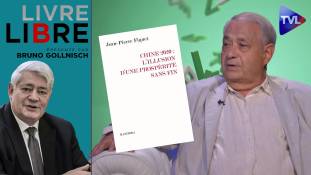 Livre-Libre - Chine-Occident : comment gérer l'inéluctable globalisation ?
