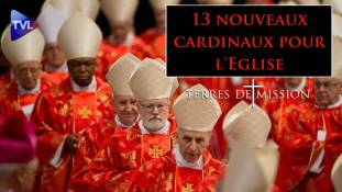 Terres de Mission n°189 - 13 nouveaux cardinaux pour l'Eglise