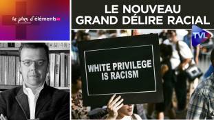 Le Plus d'Eléments : Le nouveau grand délire racial