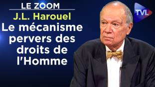 Zoom - Jean-Louis Harouel : Le mécanisme pervers des droits de l'Homme