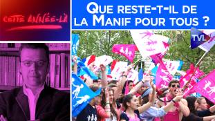 Cette année-là n°16 : Que reste-t-il de la Manif pour tous ?