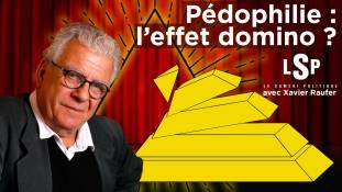 Le Samedi Politique avec Xavier Raufer - Pédophilie : la chute des intouchables ?