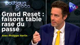 Politique & Eco n° 287 avec Philippe Herlin - Grande Réinitialisation : La Révolution mondialiste