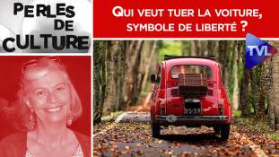 Perles de Culture n°288 : Qui veut tuer la voiture, symbole de liberté ?