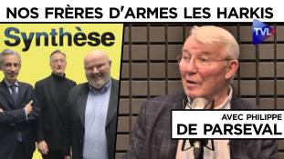 Synthèse avec Philippe de Parseval : Nos frères d'armes les Harkis