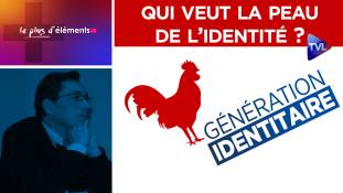 Le Plus d’Éléments n°20 : Qui veut la peau de l’identité ?