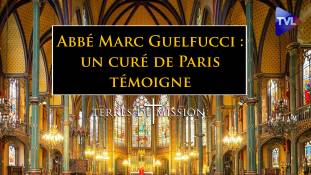 Terres de Mission n°229 : Abbé Marc Guelfucci : un curé de Paris témoigne