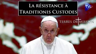Terres de Mission n°230 : La résistance à Traditionis Custodes