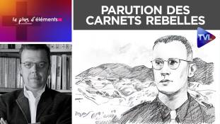 Le Plus d'Eléments n°22 : Événement ! Parution des Carnets rebelles, le chef-d’œuvre posthume de Dominique Venner