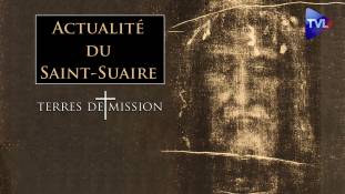Terres de Mission n°232 : Actualité du Saint-Suaire