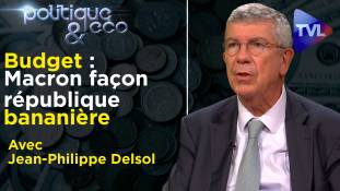 Politique & Eco n°315 - Conseil constitutionnel, budget : le gangstérisme d’Etat
