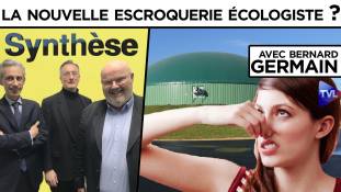Synthèse - La méthanisation : la nouvelle escroquerie écologiste ?