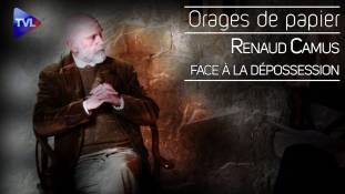Orages de Papier : Renaud Camus face à la dépossession, maladie de civilisation