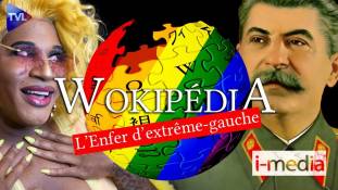 I-Média n°384 - Wokipédia : l'enfer d'extrême-gauche