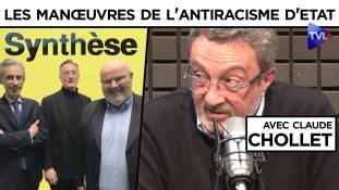 Synthèse - Les manœuvres de l'antiracisme d'Etat