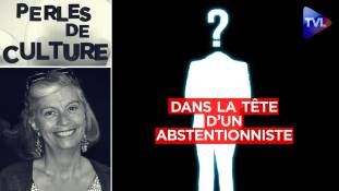 Perles de Culture n°334 : Que se passe-t-il dans la tête d'un abstentionniste ?