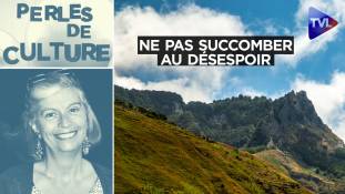 Perles de Culture n°335 : Ne pas succomber au désespoir