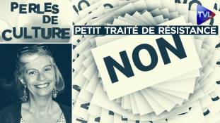 Perles de Culture n°336 : Petit traité de résistance