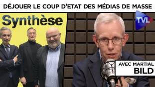 Synthèse : Comment déjouer le coup d’Etat des médias de masse ?