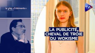 Le plus d’Éléments : La publicité, cheval de Troie du wokisme