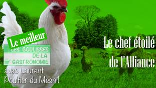 Les coulisses de la gastronomie - Le meilleur - Le chef étoilé de l'Alliance