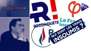 Le Plus d'Eléments - RN, LFI, Reconquête ! : qui sont les vrais insoumis ?