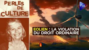 Perles de Culture n°360 - Eolien : la violation du droit ordinaire