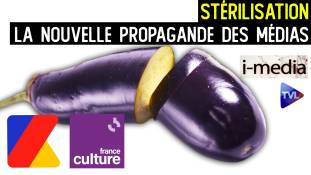 I-Média n°430 - Stérilisation : le blitzkrieg médiatique