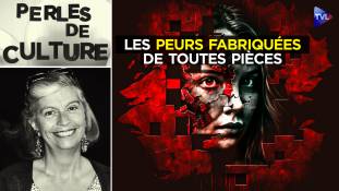 Perles de Culture n°377 : Comment résister aux peurs fabriquées de toutes pièces ?