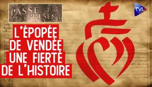 Le Nouveau Passé-Présent : Les guerres de Vendée au regard de l'Histoire