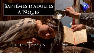 Terres de Mission n°312 - Baptêmes d'adultes à Pâques : témoignages et analyses