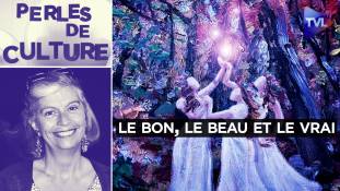 Perles de Culture n°385 : Le bon, le beau et le vrai grâce aux dessins de Projet KO