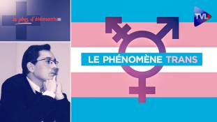 Le plus d'Eléménts -  Le phénomène trans