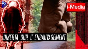 Le Nouvel I-Média n°449 - Bordeaux, la vidéo qu’ils ne pouvaient pas cacher !