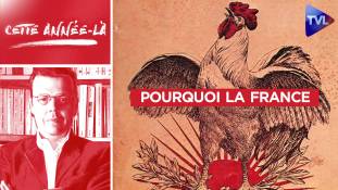 Cette année-là : Pourquoi la France