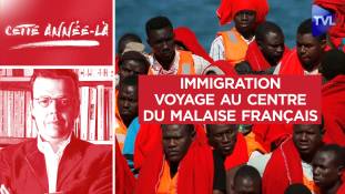 Cette année-là - Immigration : voyage au centre du malaise français